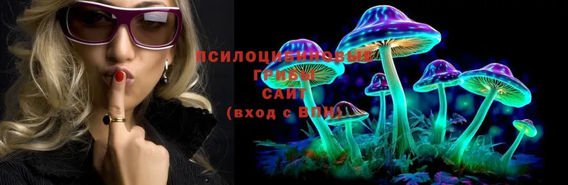 Псилоцибиновые грибы Magic Shrooms  Красный Кут 