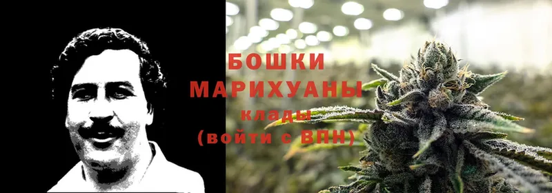 цена наркотик  Красный Кут  Конопля Ganja 